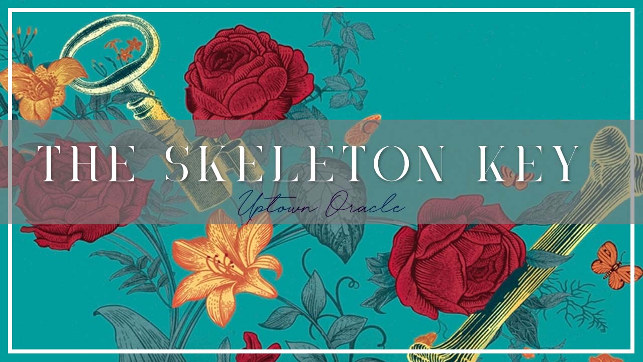 Unearthing Secrets: A Deep Dive into ‘The Skeleton Key’ by Erin Kelly